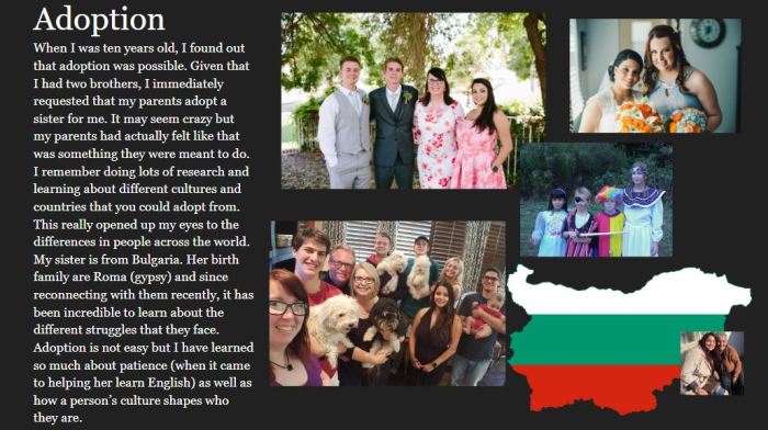 Cultural Basket Adoption